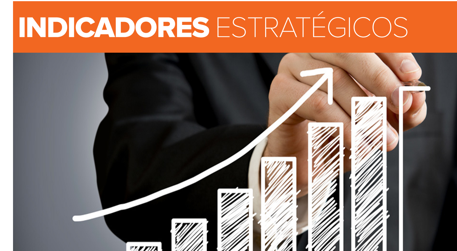 Cómo Elegir Una Buena Oportunidad de Network Marketing